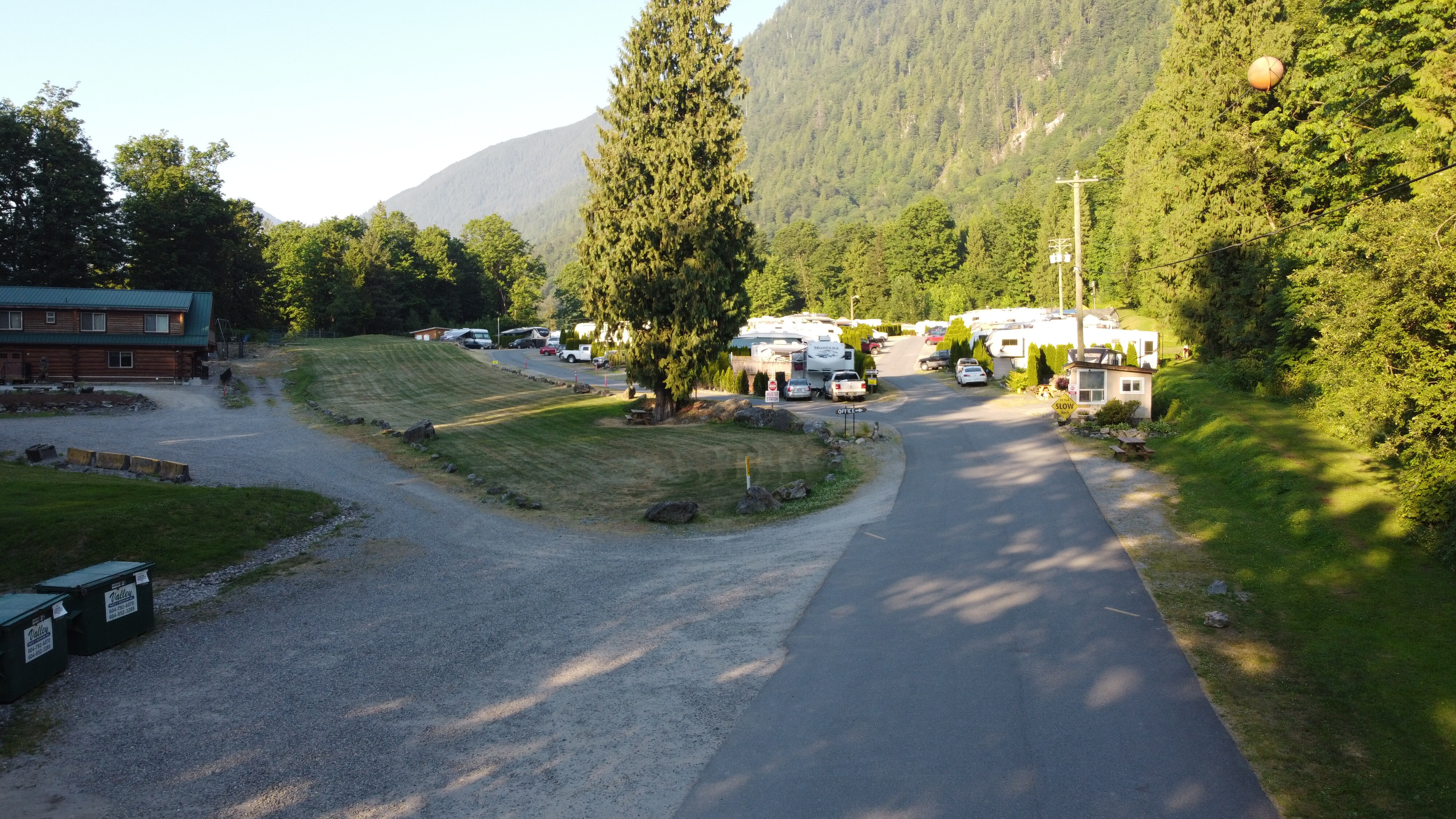 The tree-lined entrance road through the grounds