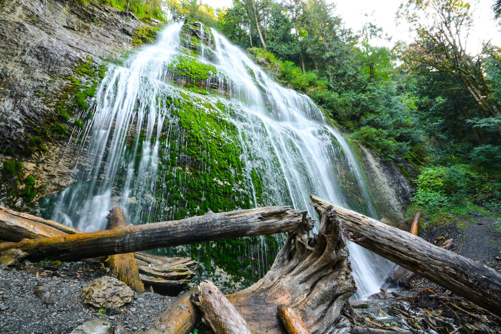 Bridal Veil Falls tumbling over mossy rock to a driftwood-strewn pool